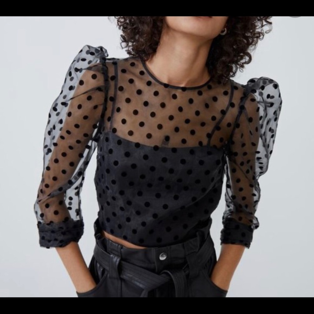 NWT Zara black sheer polka dot crop top.